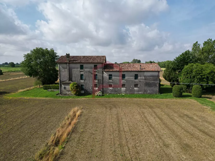 Immagine 2 di Casa indipendente in vendita  in Roncade a Roncade