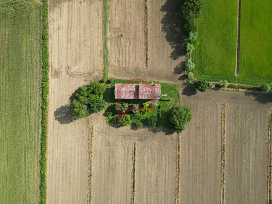 Immagine 8 di Casa indipendente in vendita  in Roncade a Roncade