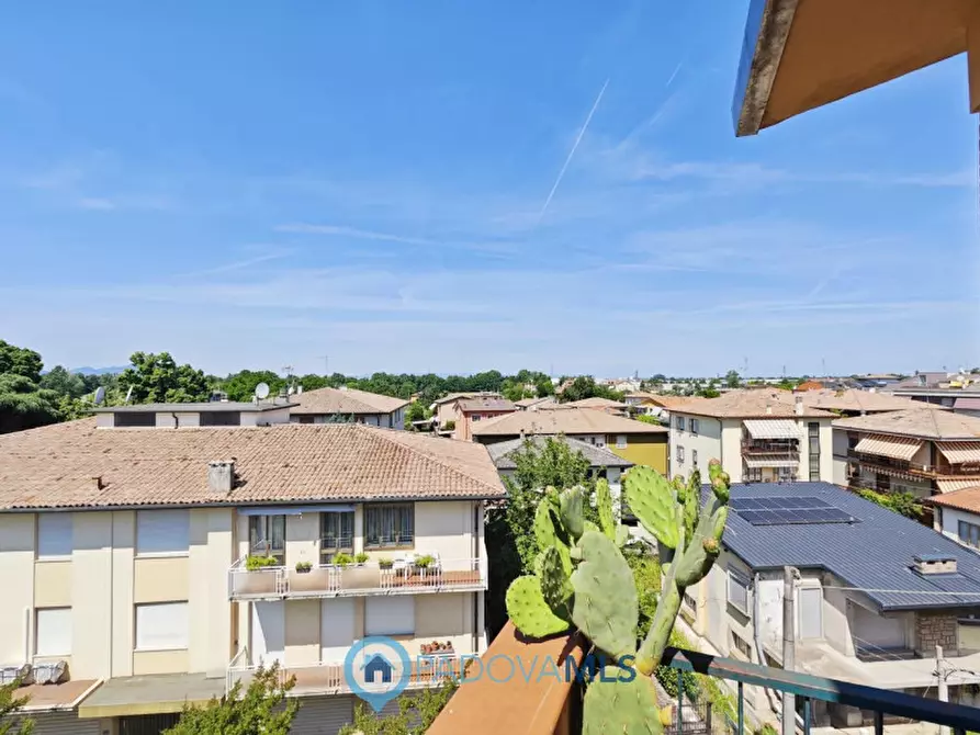 Immagine 16 di Appartamento in vendita  a Padova