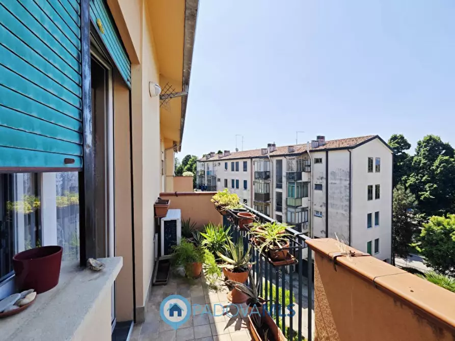 Immagine 20 di Appartamento in vendita  a Padova