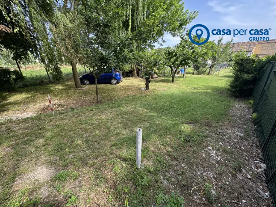 Immagine 29 di Casa trifamiliare in vendita  in Via Bosco del Monaco 123 a Bosaro