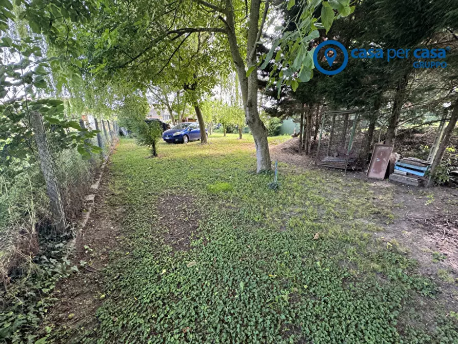 Immagine 30 di Casa trifamiliare in vendita  in Via Bosco del Monaco 123 a Bosaro