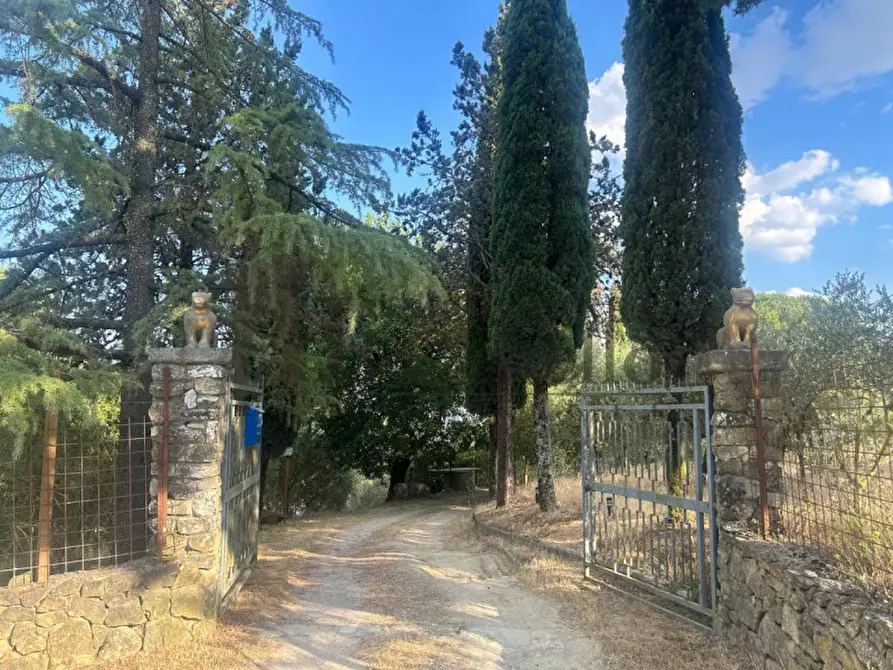 Immagine 23 di Casa indipendente in vendita  in Trecine a Passignano Sul Trasimeno