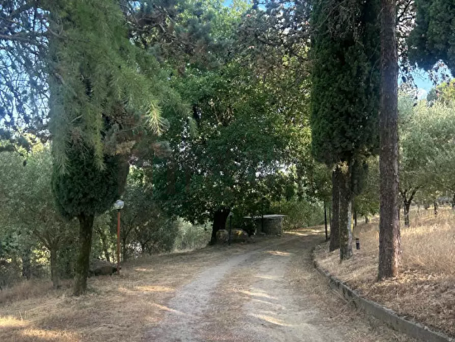 Immagine 24 di Casa indipendente in vendita  in Trecine a Passignano Sul Trasimeno