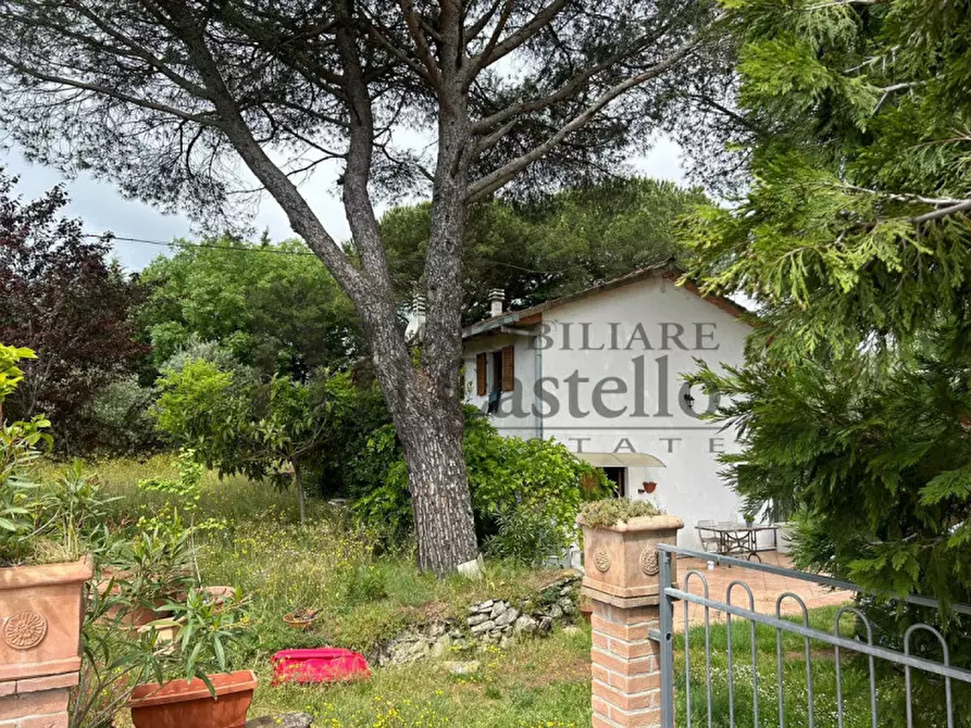 Immagine 30 di Casa indipendente in vendita  in Trecine a Passignano Sul Trasimeno