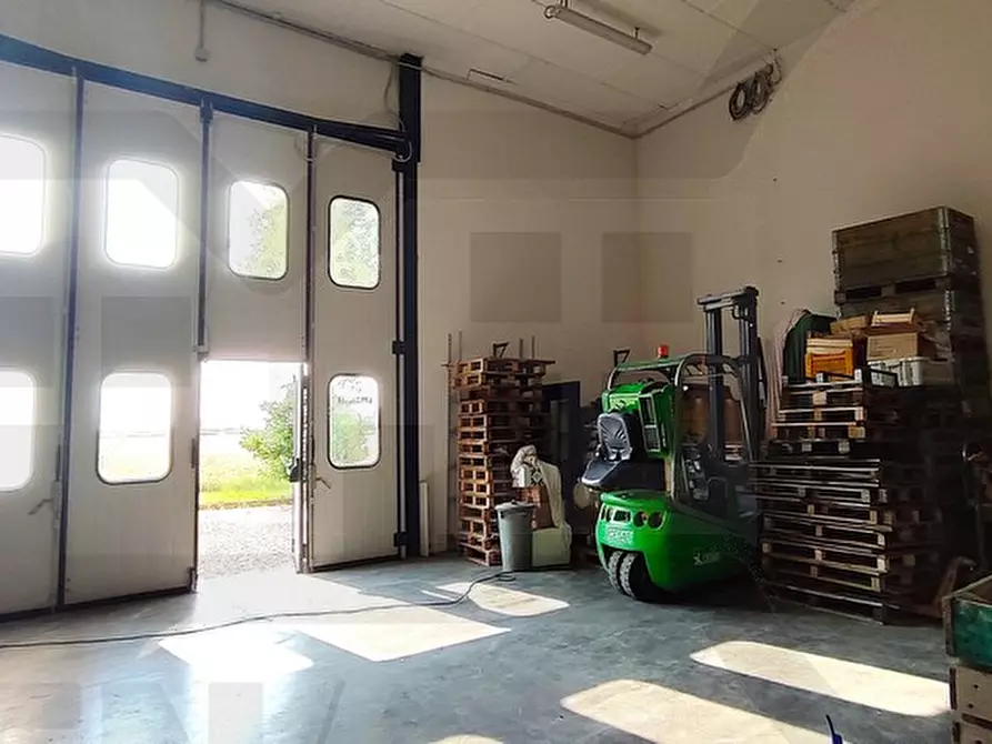 Immagine 10 di Capannone industriale in vendita  in Via Martiri di Fabriago a Lugo