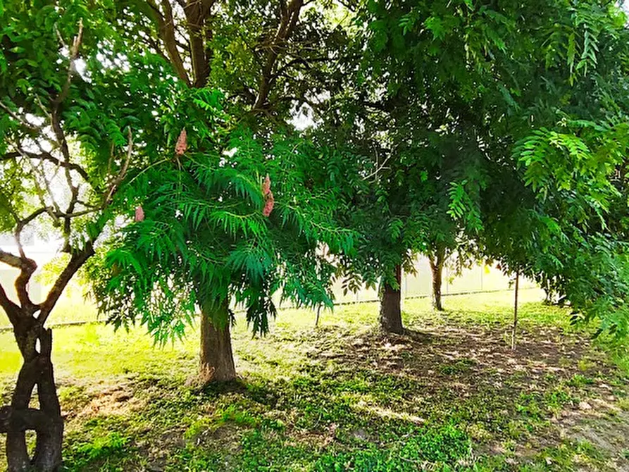 Immagine 15 di Capannone industriale in vendita  in Via Martiri di Fabriago a Lugo