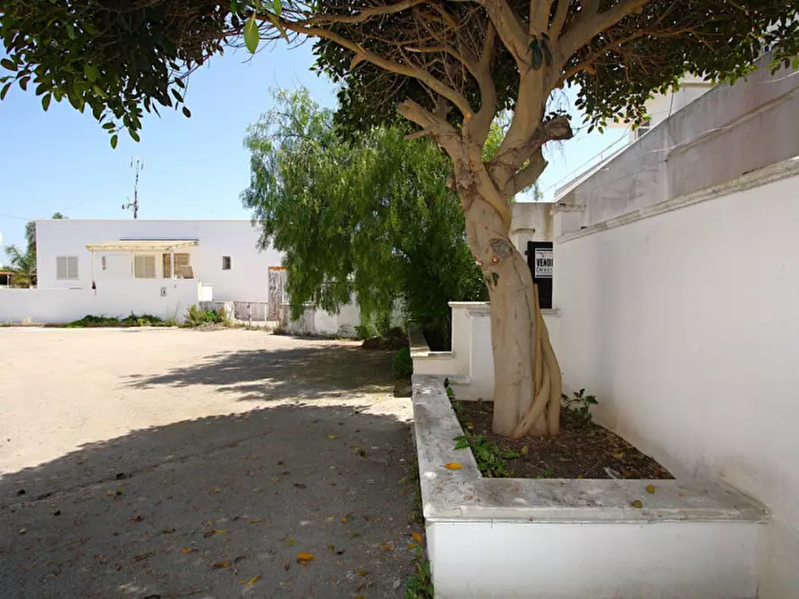 Immagine 26 di Casa indipendente in vendita  in Lungomare Ionio a Ugento