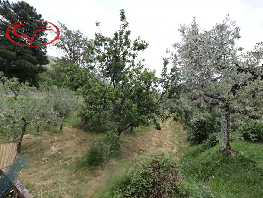 Immagine 43 di Villetta a schiera in vendita  in via poggio di Loro a Loro Ciuffenna