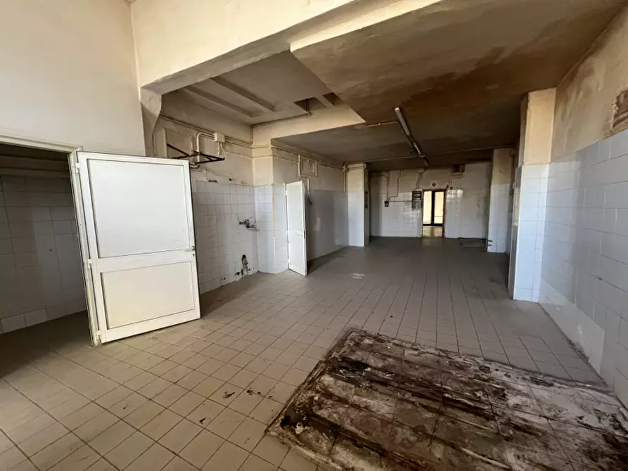 Immagine 5 di Negozio in affitto  a Monselice