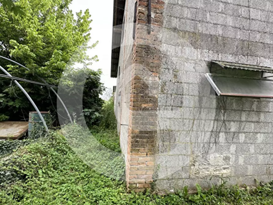 Immagine 4 di Terreno in vendita  a Borgoricco