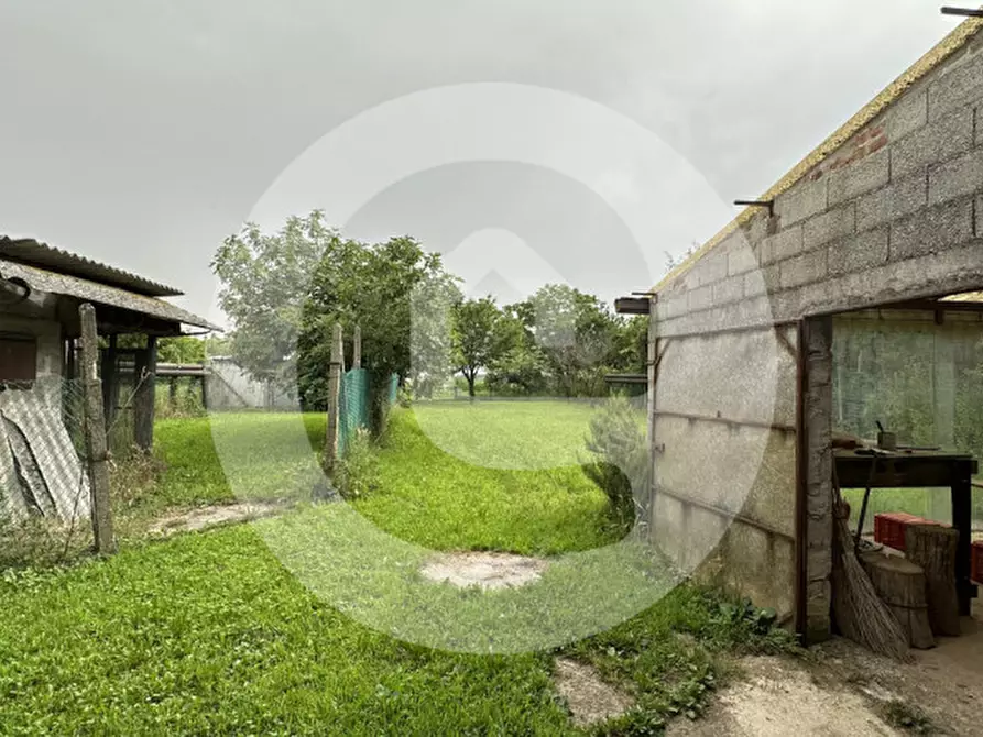Immagine 6 di Terreno in vendita  a Borgoricco