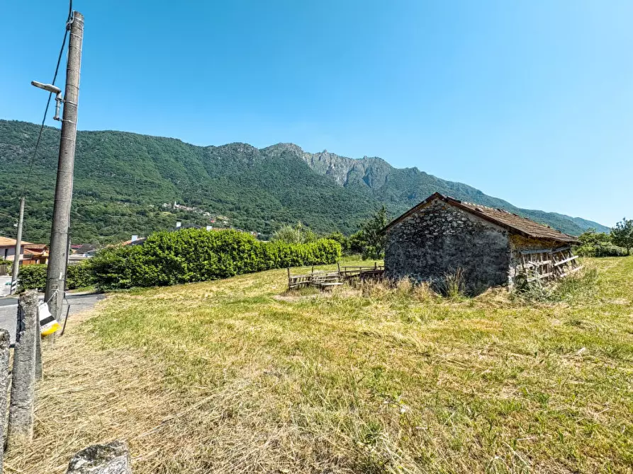Immagine 3 di Terreno in vendita  in Via Cassinone a Casale Corte Cerro
