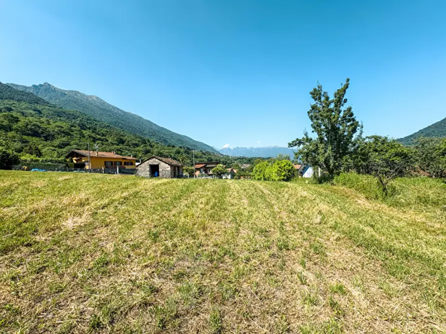 Immagine 6 di Terreno in vendita  in Via Cassinone a Casale Corte Cerro