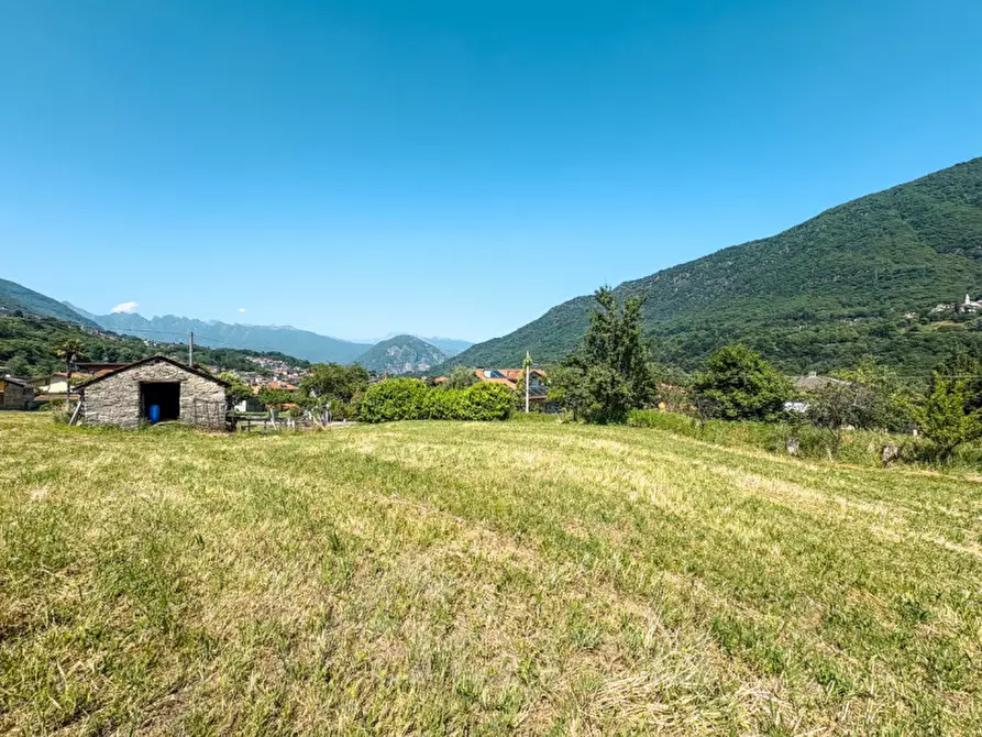 Immagine 7 di Terreno in vendita  in Via Cassinone a Casale Corte Cerro