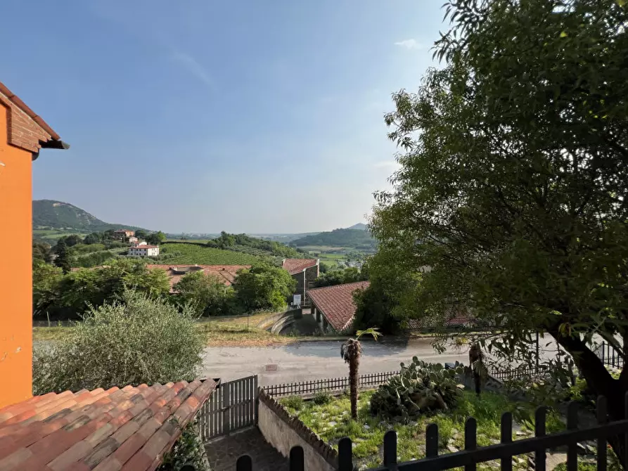 Immagine 3 di Villa in vendita  a Arqua' Petrarca