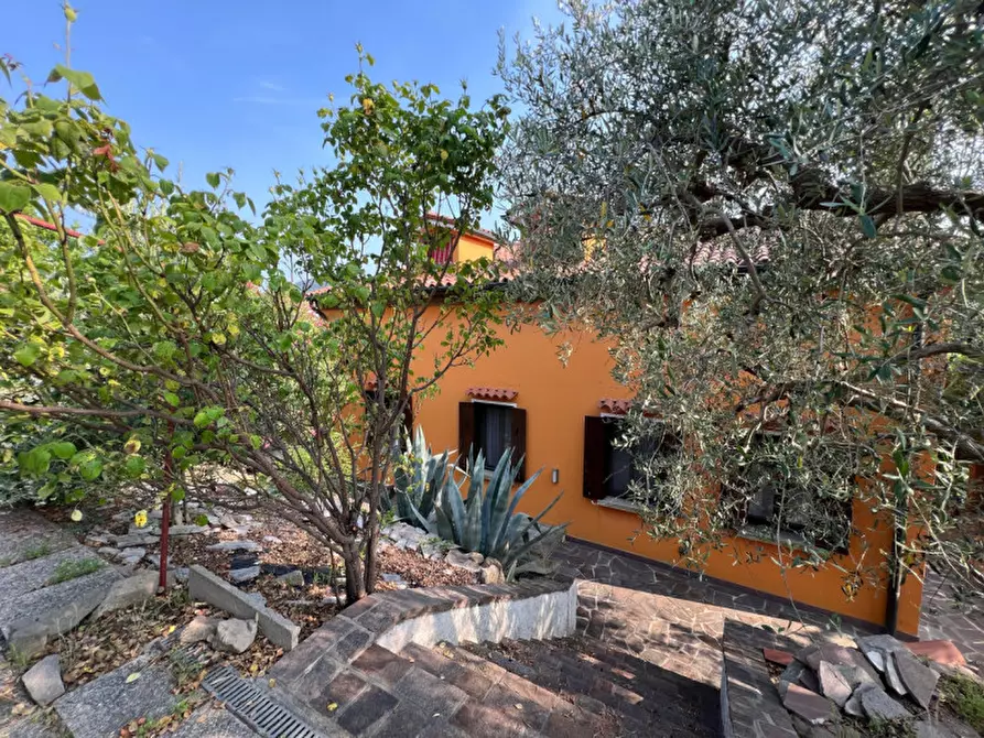 Immagine 7 di Villa in vendita  a Arqua' Petrarca