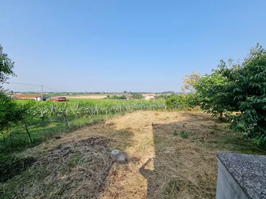 Immagine 7 di Casa bifamiliare in vendita  in via nina a Vo