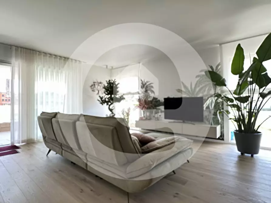 Immagine 3 di Villa in vendita  a Borgoricco