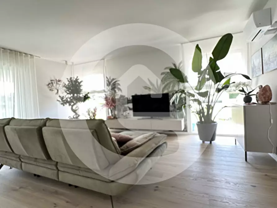 Immagine 4 di Villa in vendita  a Borgoricco