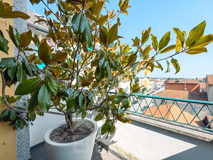 Immagine 18 di Appartamento in vendita  in via novara 40 a Borgomanero