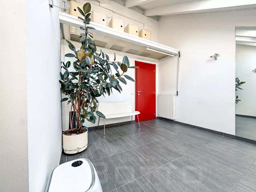 Immagine 26 di Appartamento in vendita  in via novara 40 a Borgomanero