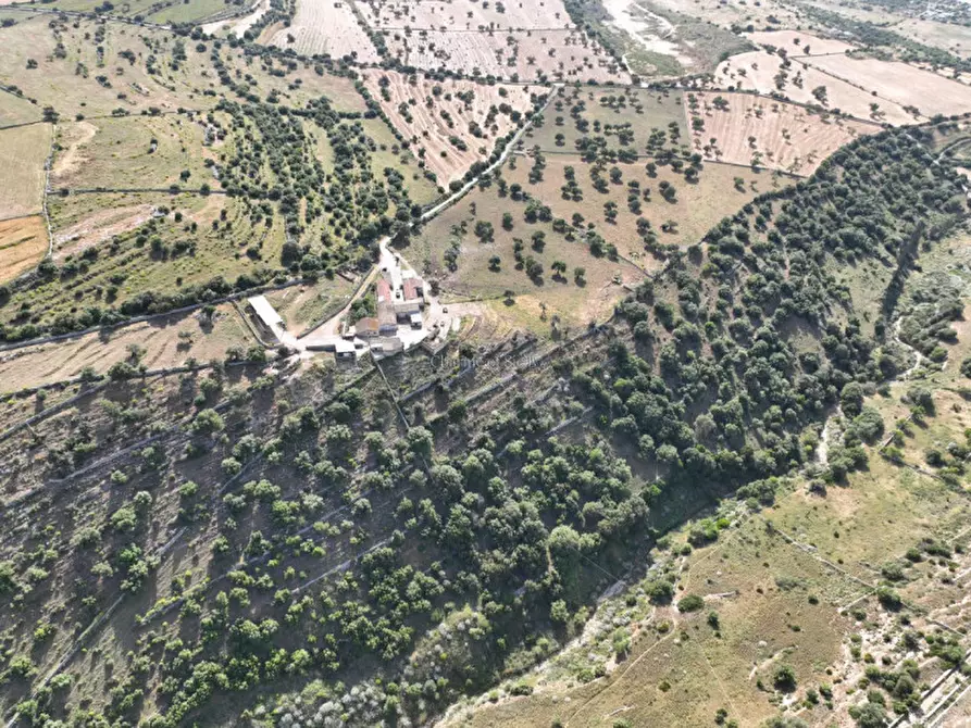 Immagine 19 di Rustico / casale in vendita  in Contrada Cava Corallo a Ragusa