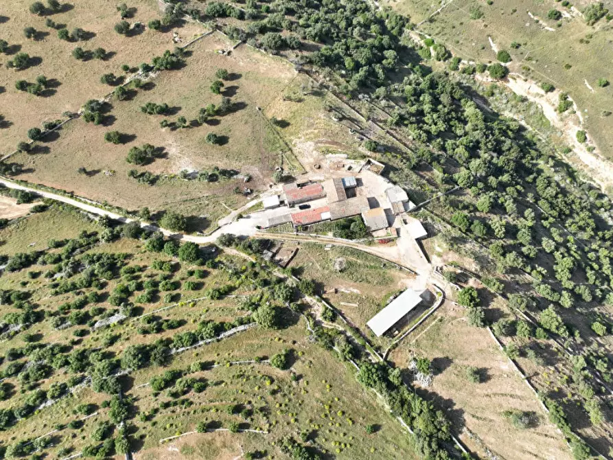 Immagine 20 di Rustico / casale in vendita  in Contrada Cava Corallo a Ragusa
