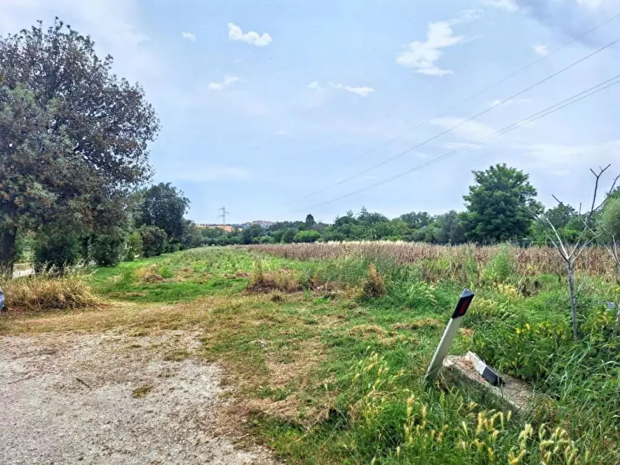 Immagine 27 di Rustico / casale in vendita  in Via Podesti, 60033 Chiaravalle AN, Italia a Chiaravalle