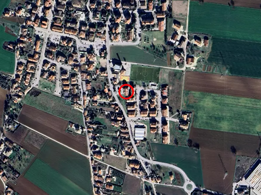 Immagine 14 di Cantina in vendita  in Via Selva, 60037 Monte San Vito AN, Italia a Monte San Vito