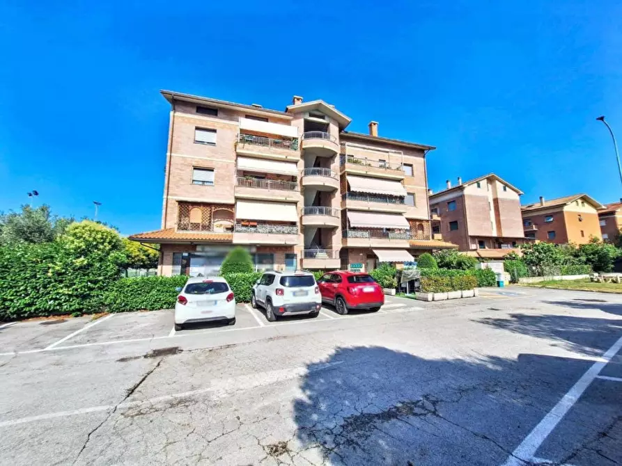 Immagine 12 di Negozio in vendita  in Via Selva, 60037 Monte San Vito AN, Italia a Monte San Vito