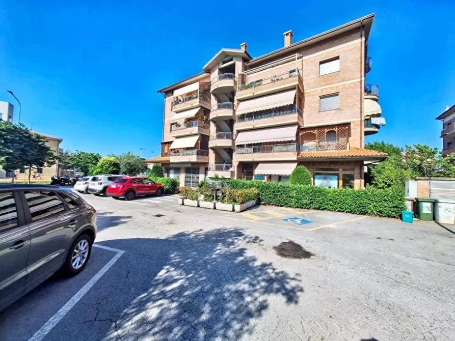 Immagine 13 di Negozio in vendita  in Via Selva, 60037 Monte San Vito AN, Italia a Monte San Vito