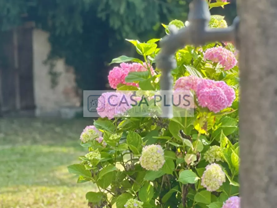 Immagine 15 di Rustico / casale in vendita  in Via delle Valli a Pieve Del Grappa