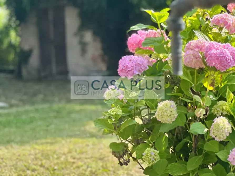 Immagine 21 di Rustico / casale in vendita  in Via delle Valli a Pieve Del Grappa