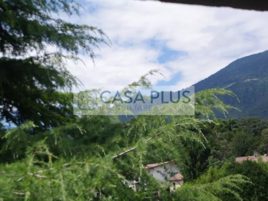 Immagine 54 di Rustico / casale in vendita  in Via delle Valli a Pieve Del Grappa