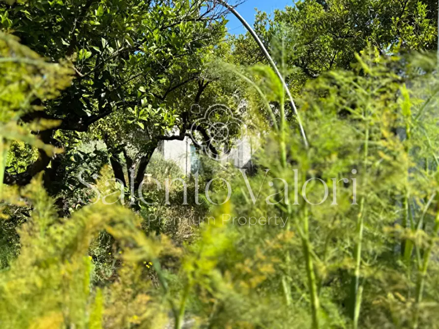 Immagine 13 di Villa in vendita  in Via Nizza 48 a Taviano