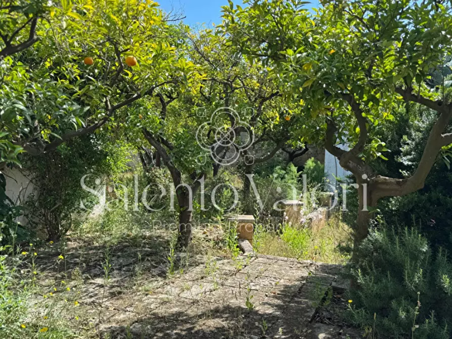 Immagine 14 di Villa in vendita  in Via Nizza 48 a Taviano