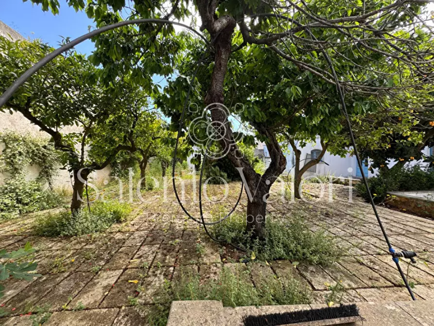 Immagine 36 di Villa in vendita  in Via Nizza 48 a Taviano
