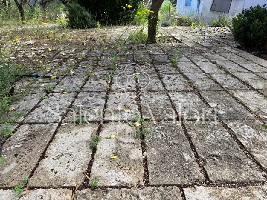 Immagine 38 di Villa in vendita  in Via Nizza 48 a Taviano