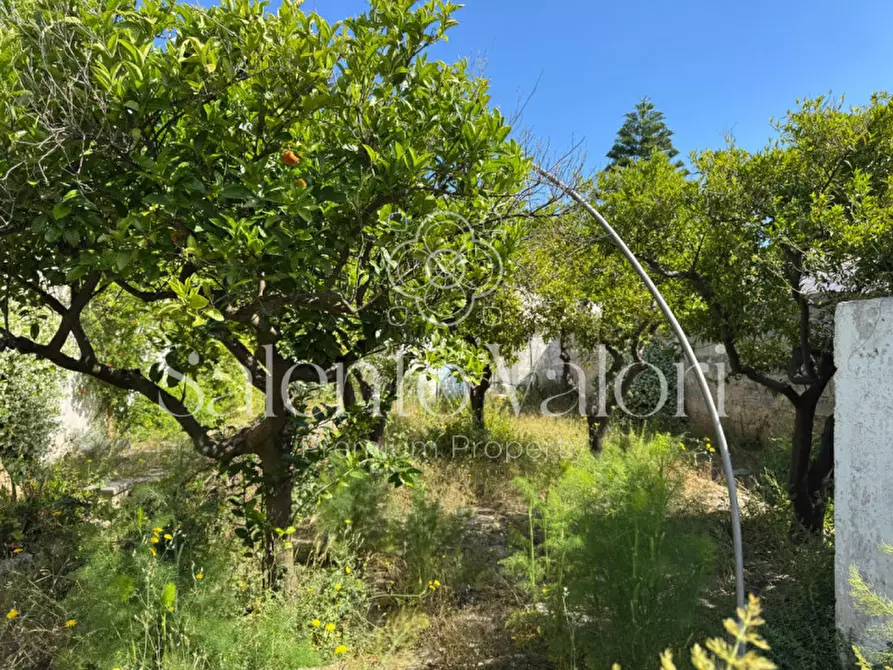 Immagine 39 di Villa in vendita  in Via Nizza 48 a Taviano