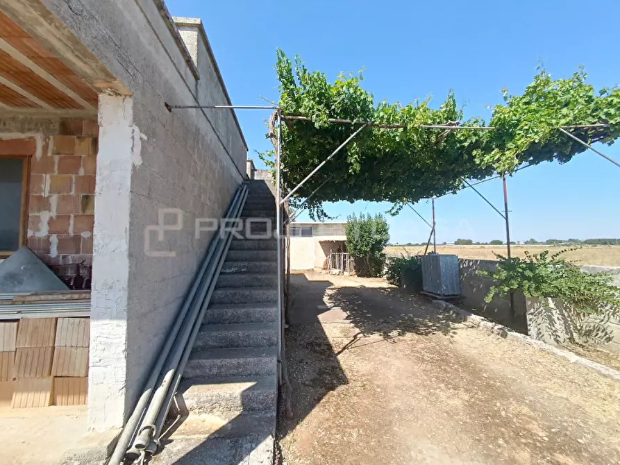 Immagine 17 di Casa indipendente in vendita  in Via Marcella a Corigliano D'otranto