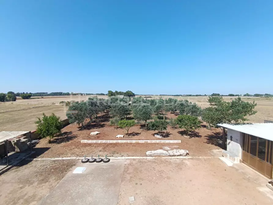 Immagine 19 di Casa indipendente in vendita  in Via Marcella a Corigliano D'otranto