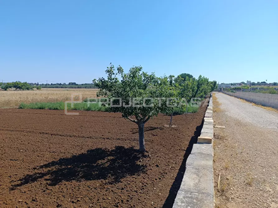 Immagine 22 di Casa indipendente in vendita  in Via Marcella a Corigliano D'otranto