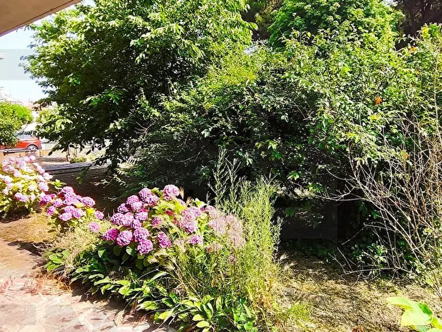 Immagine 29 di Casa indipendente in vendita  in via reno a Bagnacavallo