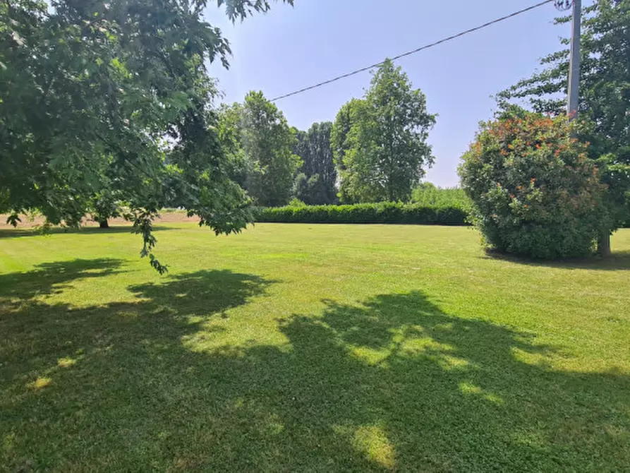 Immagine 8 di Rustico / casale in vendita  in Via del Santo 55 a San Giorgio Delle Pertiche