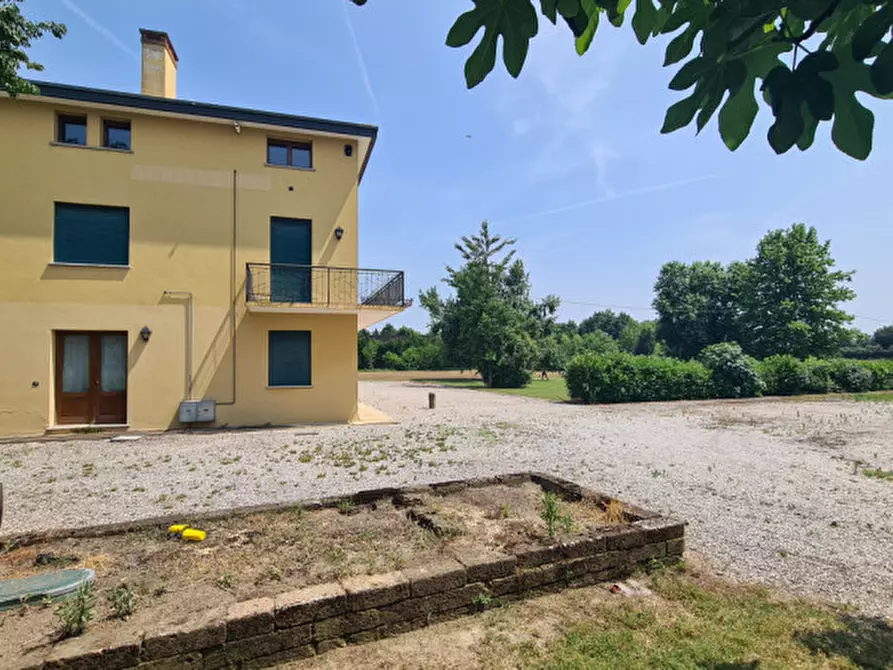 Immagine 17 di Rustico / casale in vendita  in Via del Santo 55 a San Giorgio Delle Pertiche