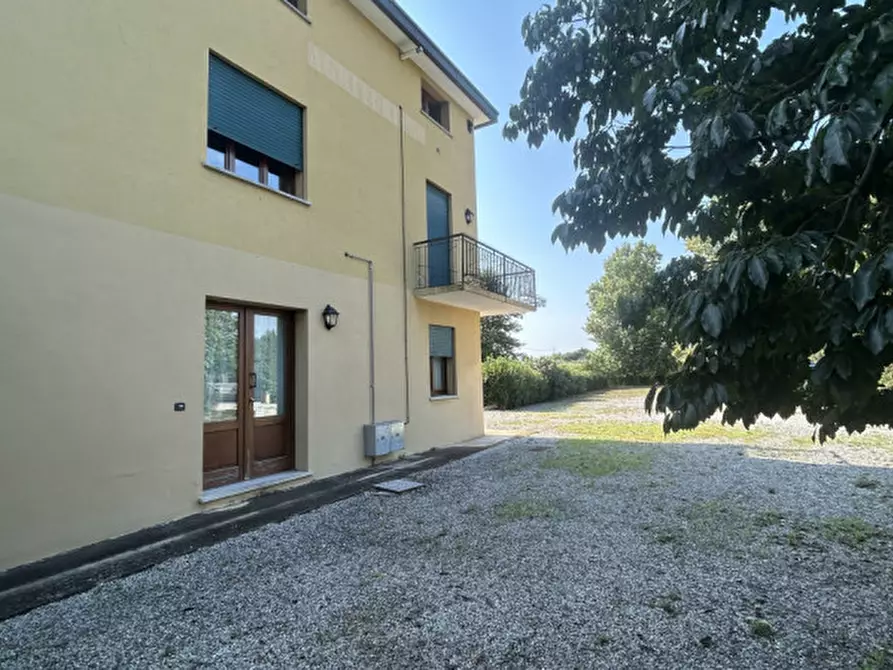 Immagine 18 di Rustico / casale in vendita  in Via del Santo 55 a San Giorgio Delle Pertiche