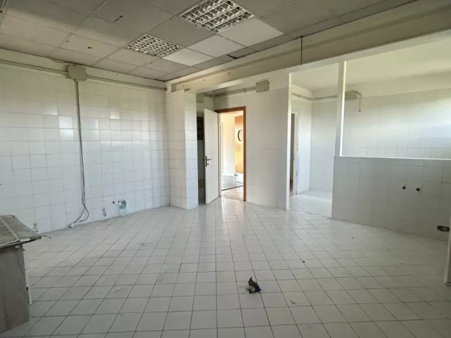 Immagine 30 di Rustico / casale in vendita  in Via del Santo 55 a San Giorgio Delle Pertiche