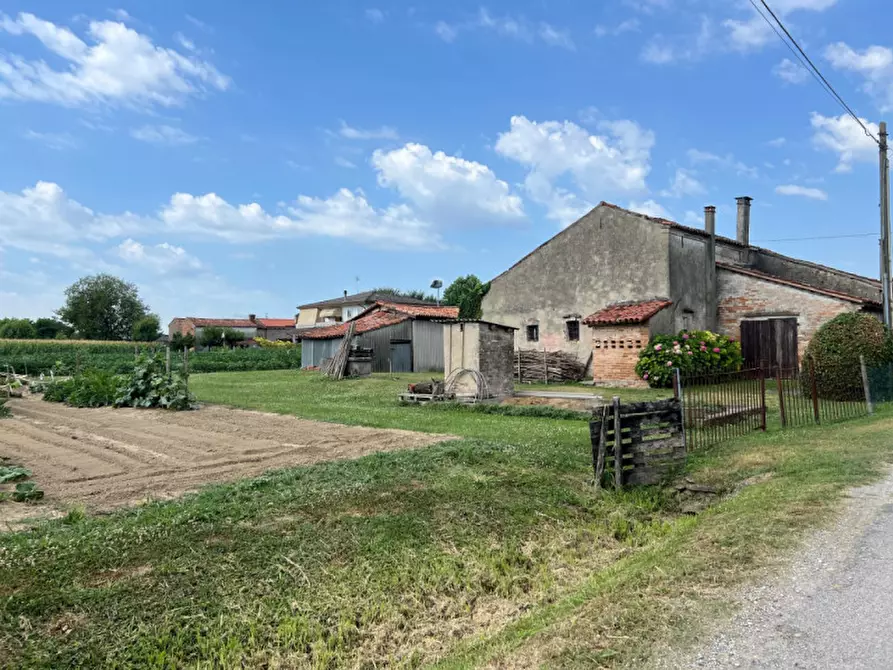 Immagine 4 di Terreno in vendita  in Via Castellaro Alto a Fosso'