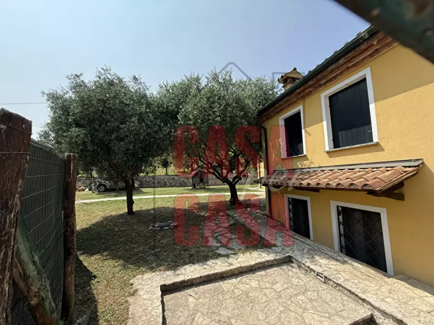Immagine 29 di Casa indipendente in vendita  in Via dei colli a Vo